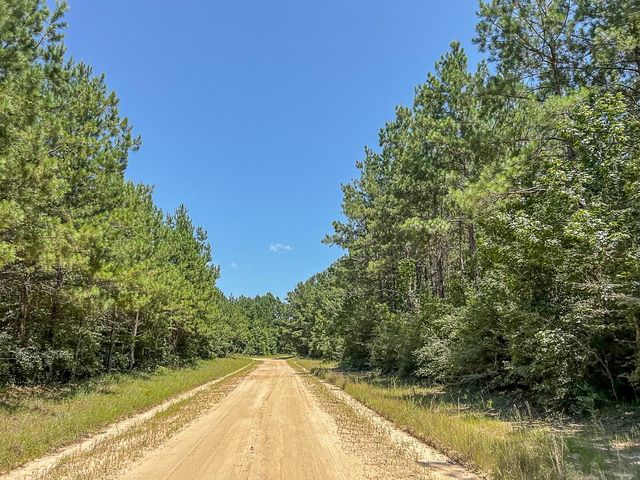 0000 Cr 367, Zavalla, TX 75980