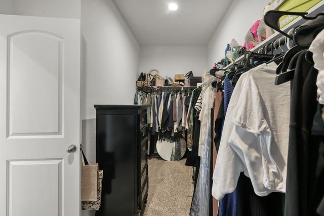 10030 Rose Mallow Lane, Magnolia, TX 77354