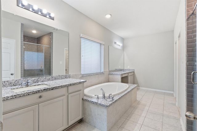 25207 Birchwood Springs Avenue, Porter, TX 77365