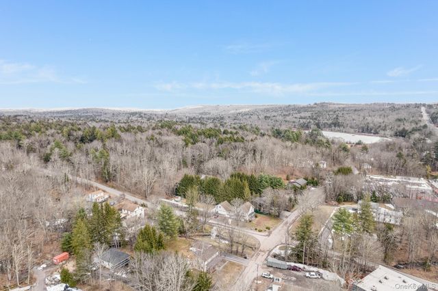 11 Gale Road, Mongaup Valley, NY 12762