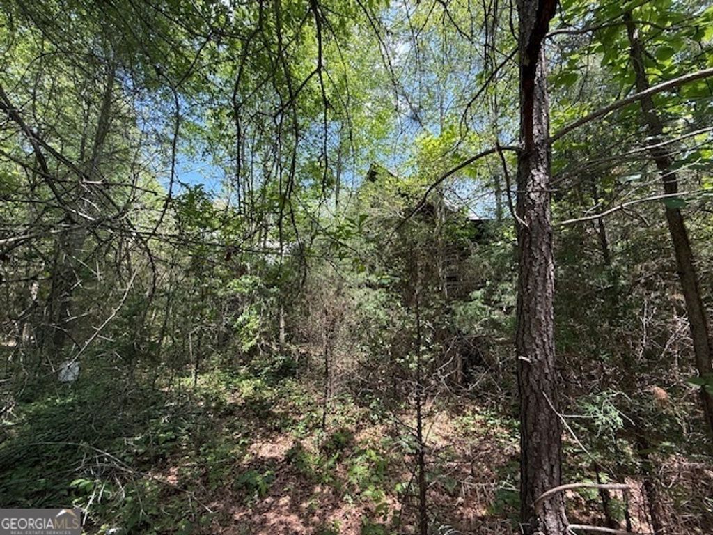 6343 Hwy 198, Carnesville, GA 30521 — photo 2