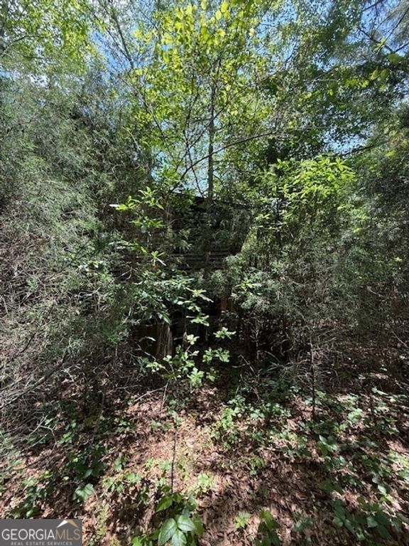 6343 Hwy 198, Carnesville, GA 30521 — photo 3