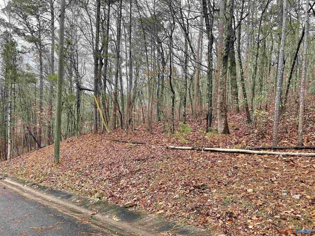 Lot 5 Greenbriar Road, Gadsden, AL 35901