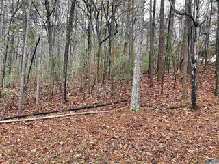 Lot 5 Greenbriar Road, Gadsden, AL 35901