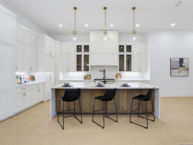 11006 NINA RDG, San Antonio, TX 78255