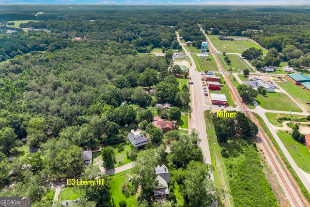 103 Liberty Hill Street, Milner, GA 30257