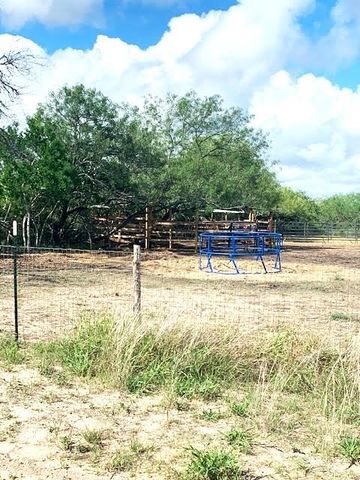 287 COUNTY ROAD 450, Alice, TX 78332