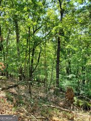 0 Asbury Mill Road, Cleveland, GA 30528