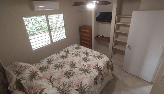 392 BRAVOS DE BOSTON, Vieques, PR 00765