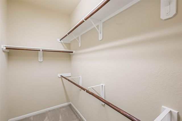 10103 Blue Point Juniper Drive, Houston, TX 77075