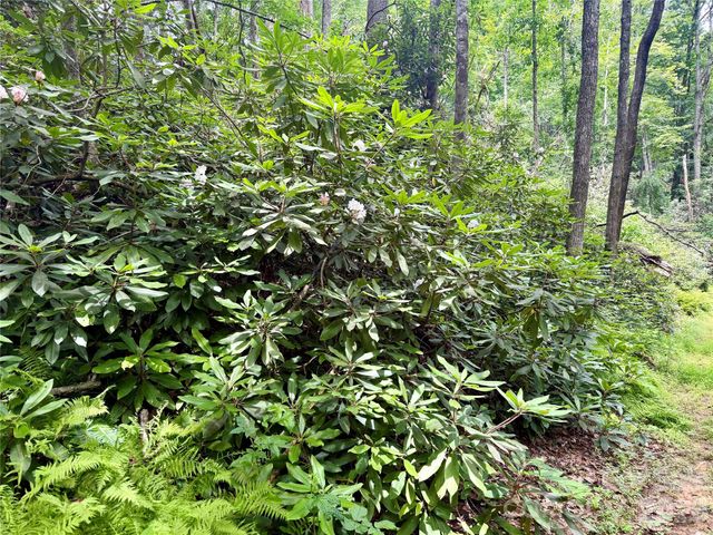 106 Flora Lina Drive, Brevard, NC 28712