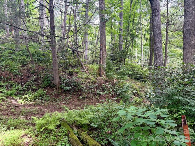 106 Flora Lina Drive, Brevard, NC 28712