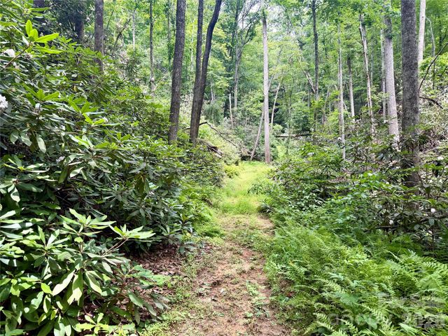 106 Flora Lina Drive, Brevard, NC 28712