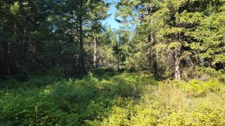 612 Overlook Dr, Newport, WA 99156