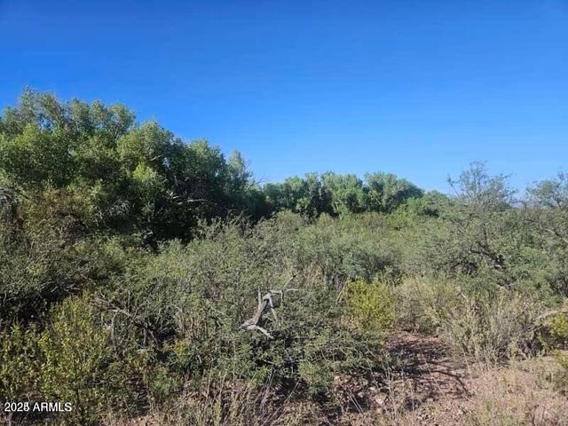 1388 E COTTONWOOD Lane -, Huachuca City, AZ 85616