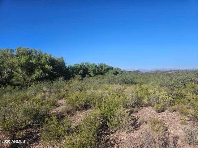 1388 E COTTONWOOD Lane -, Huachuca City, AZ 85616