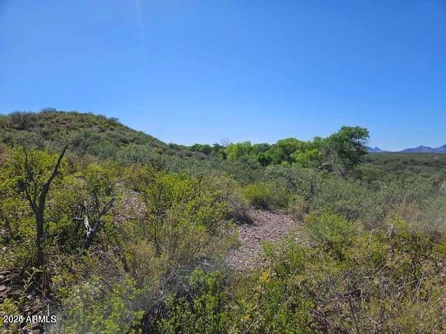 1388 E COTTONWOOD Lane -, Huachuca City, AZ 85616