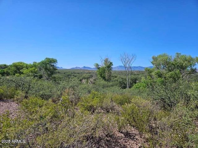 1388 E COTTONWOOD Lane -, Huachuca City, AZ 85616