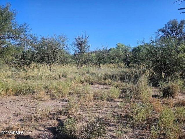 1388 E COTTONWOOD Lane -, Huachuca City, AZ 85616