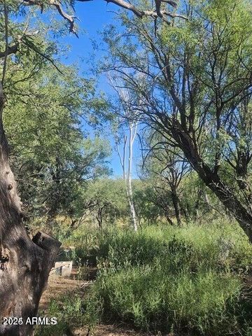 1388 E COTTONWOOD Lane -, Huachuca City, AZ 85616