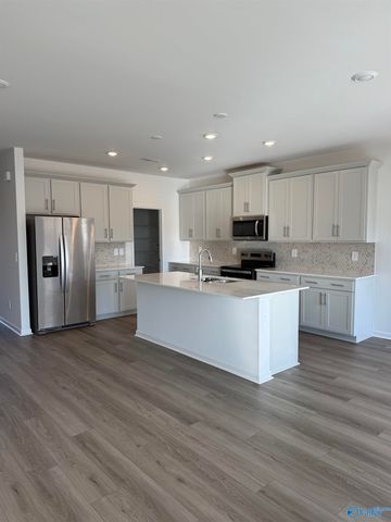 29424 Satilla Circle, Madison, AL 36756