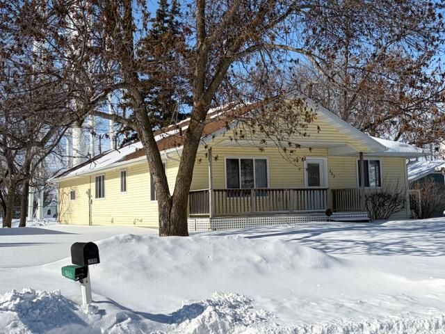 303 Main Avenue S, Roseau, MN 56751