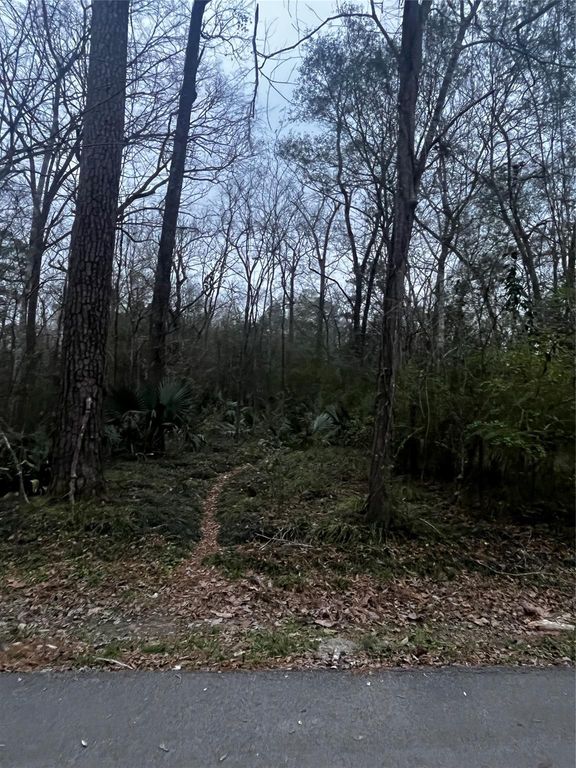 0 Elm Street, Huffman, TX 77336