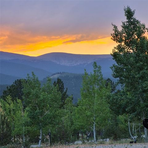 388 Clark Road, Bailey, CO 80421