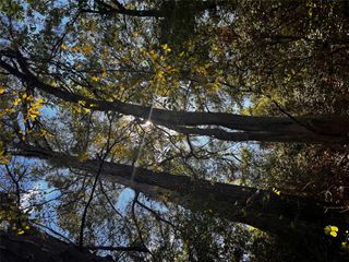 411 Laura LN, Bastrop, TX 78602