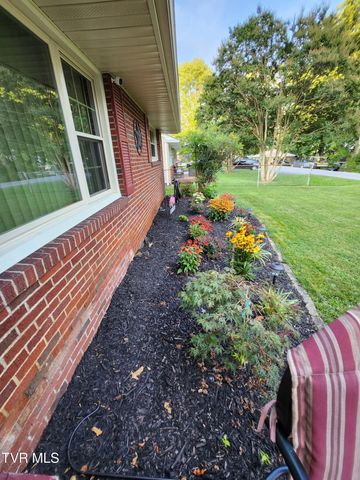 2020 Oakland Street, Kingsport, TN 37660