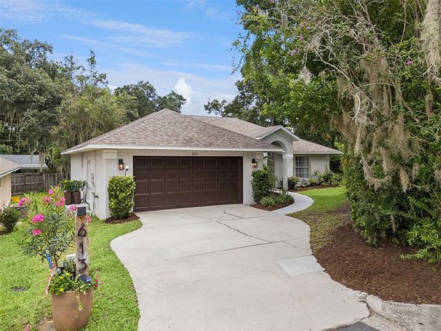 613 HURON PLACE, Mount Dora, FL 32757