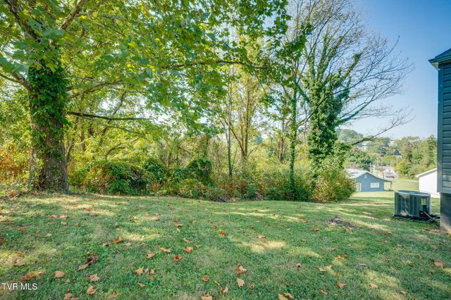 306 Martin Street, Kingsport, TN 37665