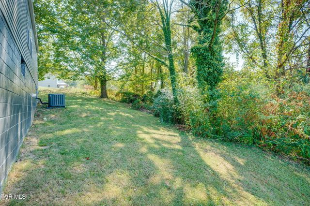 306 Martin Street, Kingsport, TN 37665