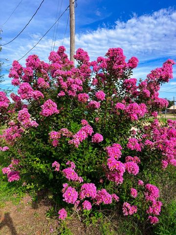 501 S Lightfoot St, Loraine, TX 79532