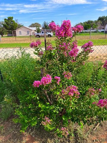 501 S Lightfoot St, Loraine, TX 79532