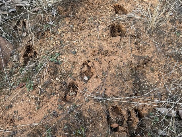 H28R Stagecoach Trail, Gordon, TX 76453