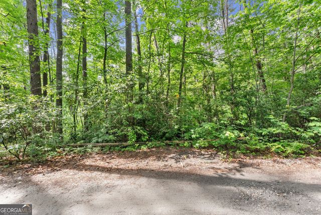 0 Sweetheart Lane, Sautee Nacoochee, GA 30571
