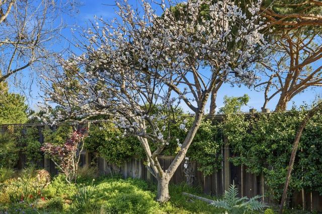 572 Seahorse Lane, Redwood City, CA 94065