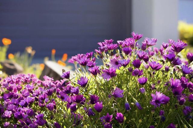 572 Seahorse Lane, Redwood City, CA 94065