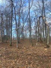 L2B1 Shady Lane, Crosslake, MN 56442