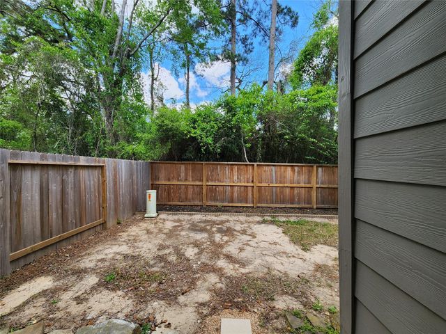 119 Anise Tree Place, The Woodlands, TX 77382