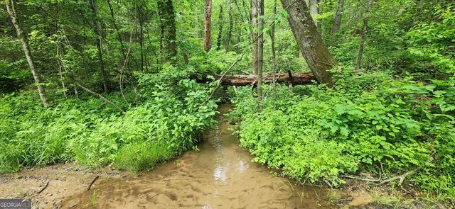 13 AC Goose Island Road, Ellijay, GA 30540