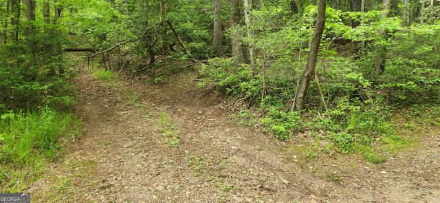 13 AC Goose Island Road, Ellijay, GA 30540