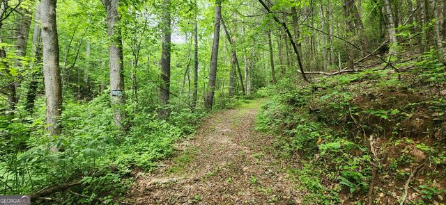 13 AC Goose Island Road, Ellijay, GA 30540