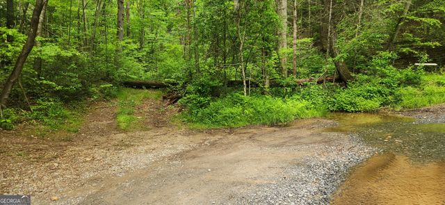 13 AC Goose Island Road, Ellijay, GA 30540