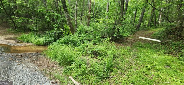 13 AC Goose Island Road, Ellijay, GA 30540
