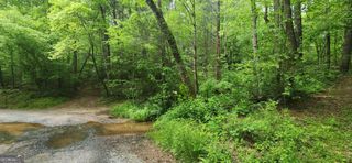 13 AC Goose Island Road, Ellijay, GA 30540