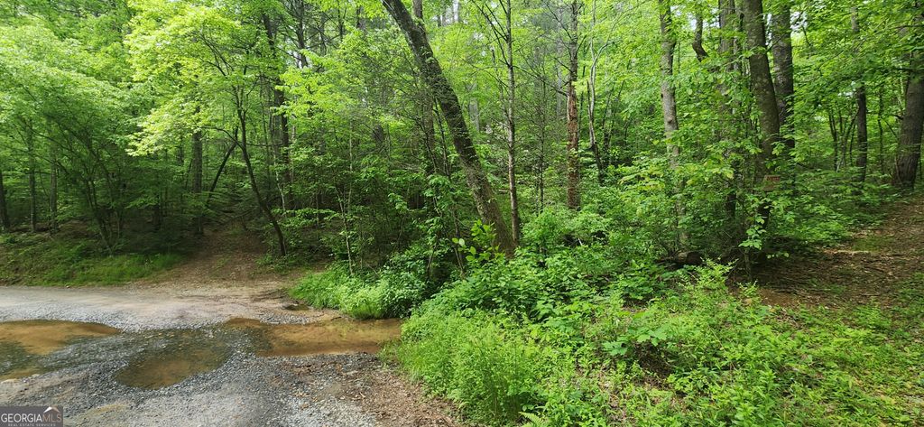 13 AC Goose Island Road, Ellijay, GA 30540