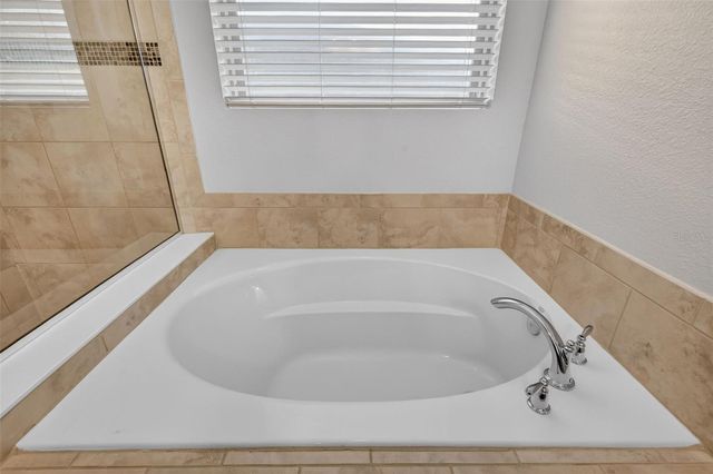 30115 CHEVAL STREET, Mount Dora, FL 32757