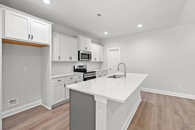 380 Doodle Hill Ln., Conway, SC 29526
